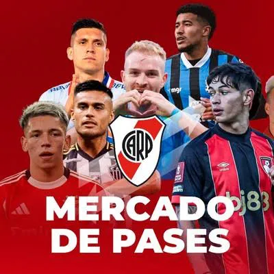 WhatsApp Image 2025-12-22 at 12.04.59