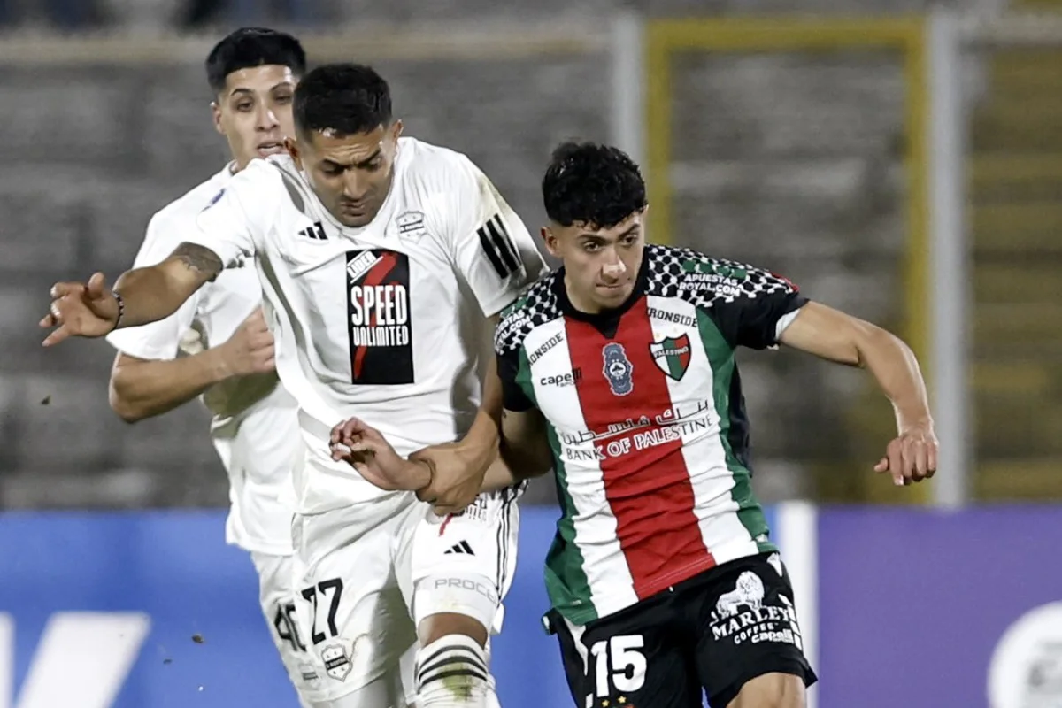 riestra palestinp